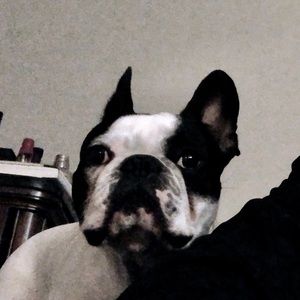 Meet your Posher, Zach